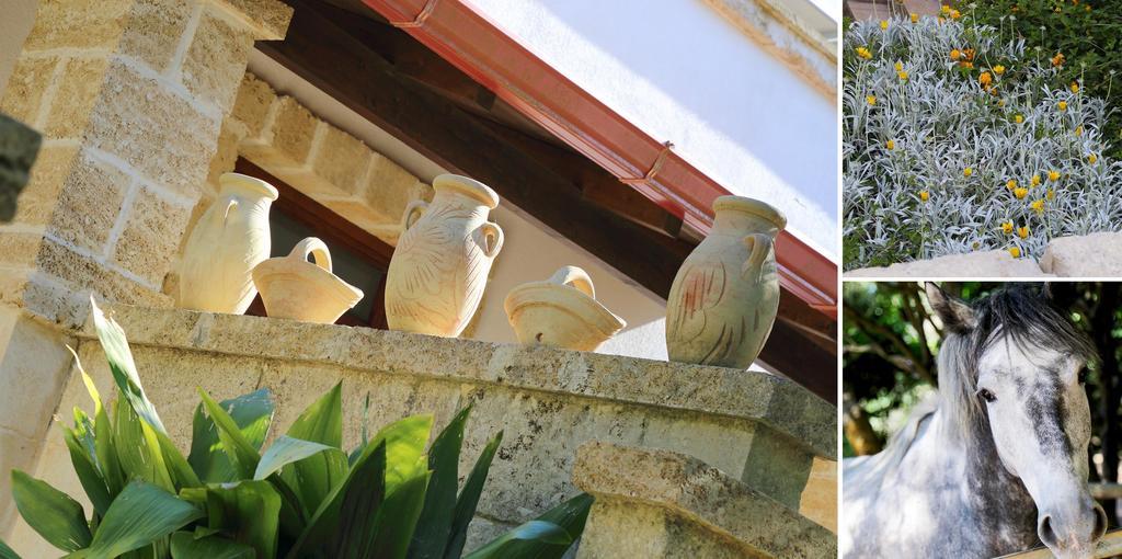 Masseria L'Uliveto Agri Resort Отранто Экстерьер фото